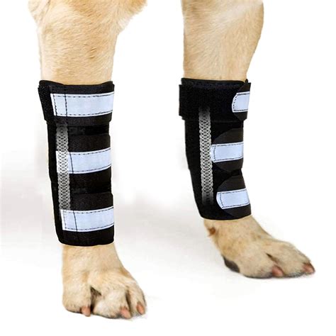 Buy Neoally Front Leg Brace For Dogs And Cats Dog Leg Brace With Metal