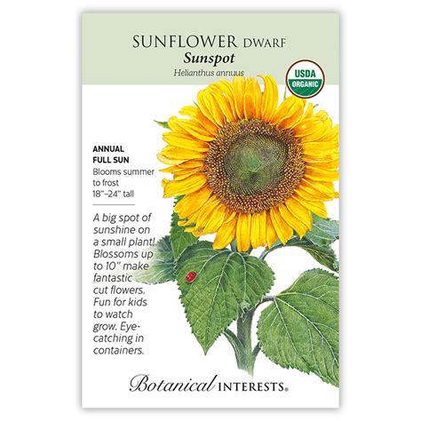 Sunspot Dwarf Sunflower Seeds Flowers Botanical Interests