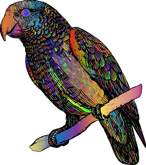 Download Parrot Bird Animal Royalty Free Vector Graphic Pixabay