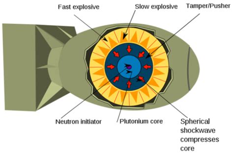 Nuclear fission is the splitting of a radioactive plants absorb carbon dioxide from the atmosphere and animals eat plants. AC 1st Semester - BNHS Beiersdorff