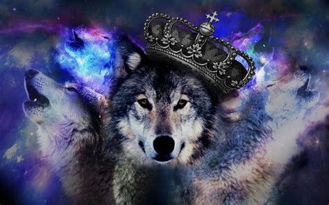 Maybe you would like to learn more about one of these? Wolf Wallpapers Images Photos Pictures Backgrounds