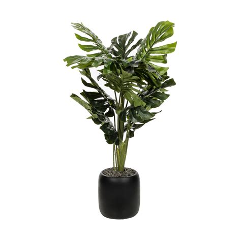 We did not find results for: Monsteria Artificial Plant | Kmart