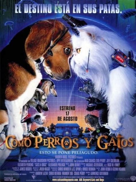 Como Perros Y Gatos 2001 El Gato Pelicula Cartel De Perro Gato Vs