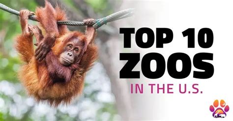 The 10 Best Zoos In The Us 2021