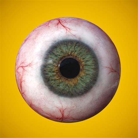 Artstation Eye Anatomy Photorealistic Eyeball Resources