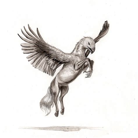 Buckbeak The Hippogriff Animal Sketches Harry Potter Tattoos