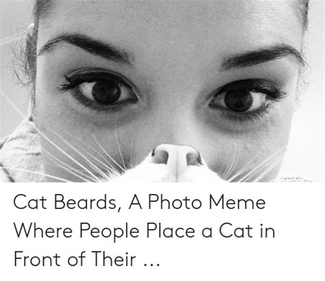 Cat Beards A Photo Meme Where People Place A Cat In Front Of Their