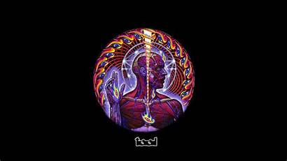 Tool Band Lateralus 1080 1920 Fhd Eye