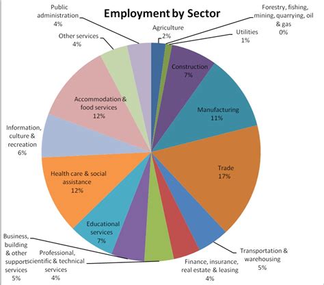 Career Sectors Exploring The Vast Landscape Of Employment Opportunities Statistics Watch