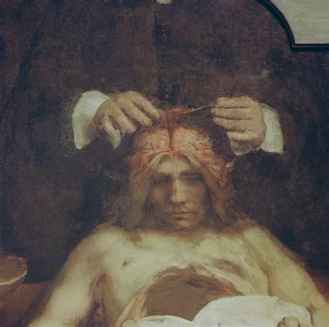 Anatomia Del Dr Ing Johan Deijman Rembrandt Van Rijn