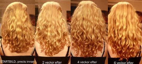 Is castor oil good for your hair? Swedish blog post with picture proof after using castor ...