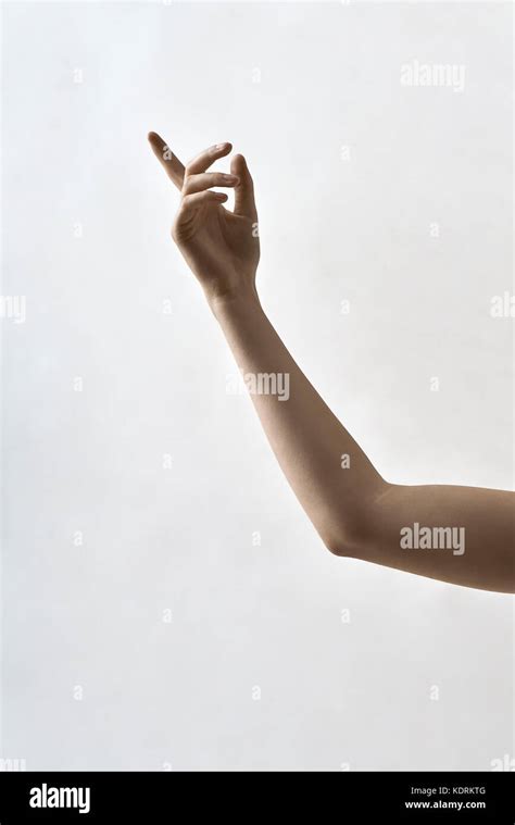 Closeup Photo Of Female Arm Stock Photo Alamy