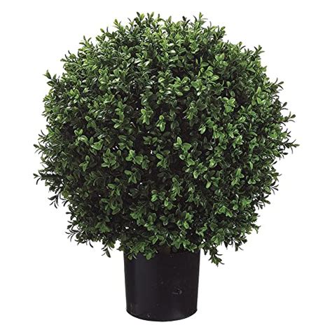 10 Best Artificial Topiaries Boxwood Reviews In 2023