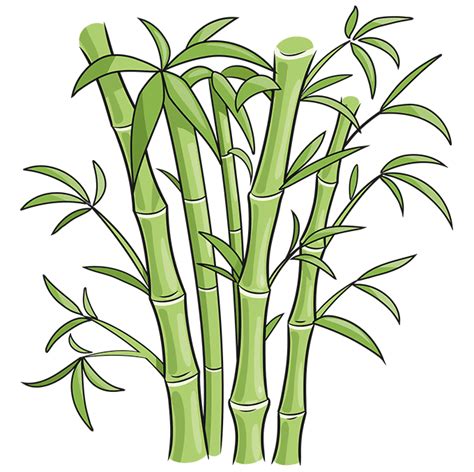 How to Draw Bamboo - Really Easy Drawing Tutorial