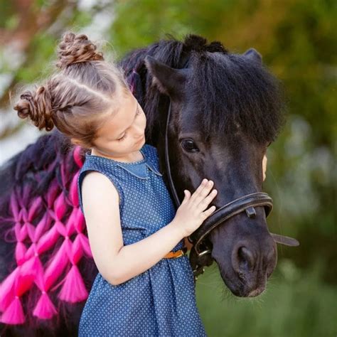 How To Pet A Horse Saying Hi And Staying Safe Helpful Horse Hints