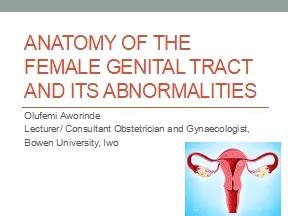 PPT ANATOMY OF THE FEMALE GENITAL TRACT AND ITS ABNORMALITIES PowerPoint Presentation