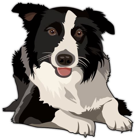 Border Collie Vector Border Collie Art Watercolor Dog Portrait Dog