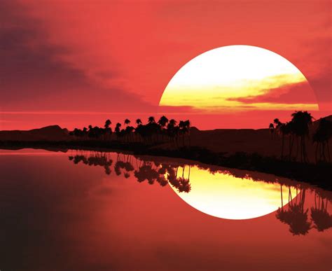 Resume mein kya likhte hai? Sunrise sunset rare shots - eARNING TRICK