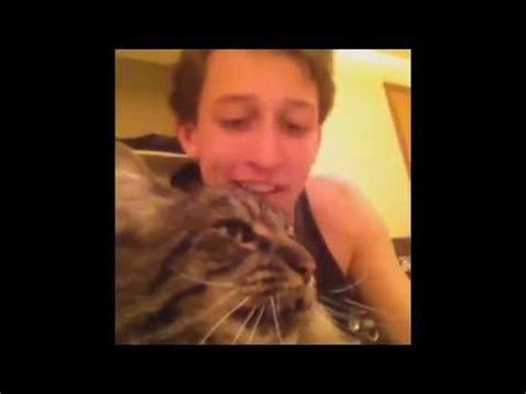 I'm no native speaker but isnt look what the cat dragged in way more common!? Bon Jovi the cat has some serious anger issues - YouTube