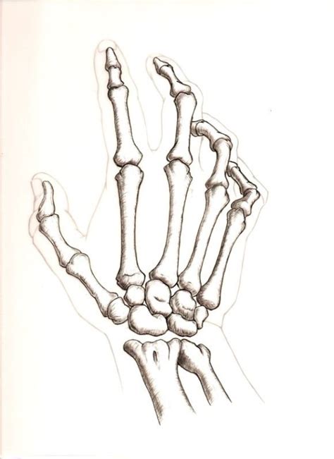 Drawing hands, or anything else for that matter is as easy as drawing some simple shapes. skeleton pictures hand | Dessin squelette, Dessin, Squelette
