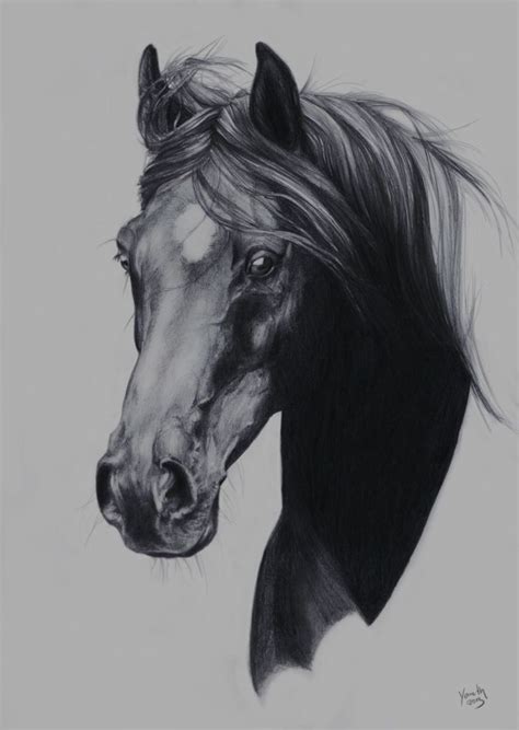 Sketch By Yaveth Horse Head Drawing Abstract Horse Art Horse Drawings
