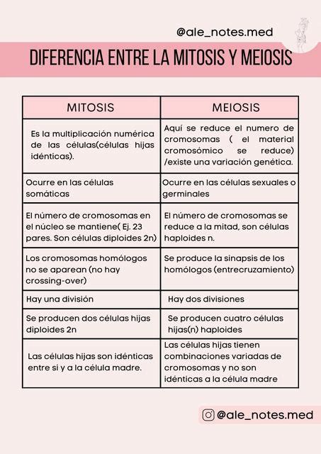 Diferencia Entre Mitosis Y Meiosis Alejandra Sernaque Herrera Udocz