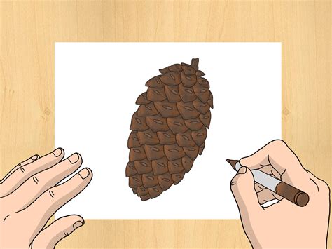 How To Draw A Pinecone 6 Steps With Pictures Wikihow