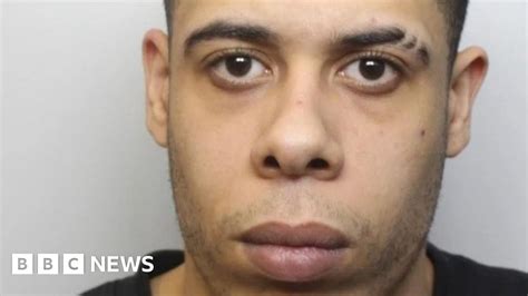 Daria Pionko Death Lewis Pierre Jailed For Murder Bbc News