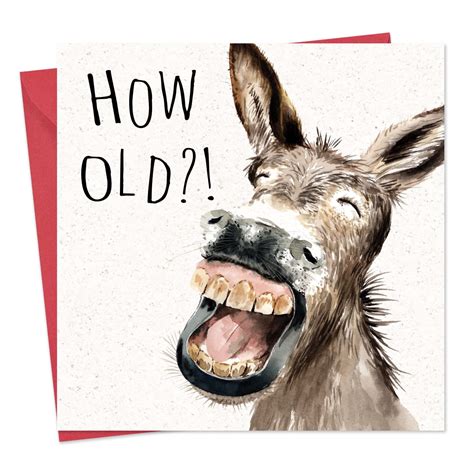 Buy Twizler Funny Birthday Card With Donkey Funny Card Birthday Happy Birthday Card Funny