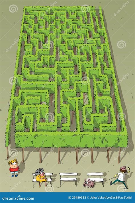 Landscape Park Trees Maze Game Stock Vector Illustration Of Hedge Garden 29489332