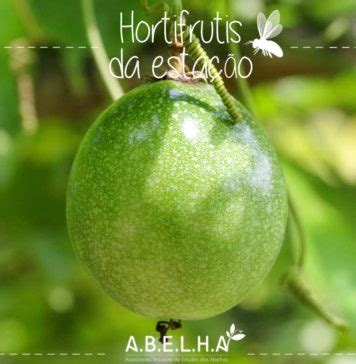 Hortifrutis Da Esta O A B E L H A