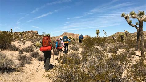 Backpacking Joshua Tree National Park Travel With Rei