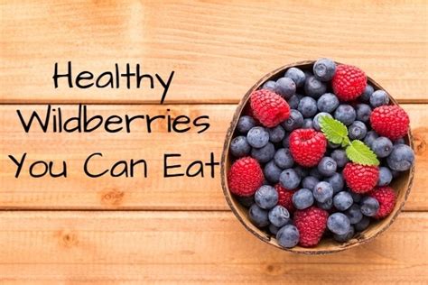8 Healthy Delicious And Safe Wild Berries You Can Eat Healthy Foods Mag