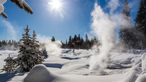 the best time of year to visit yellowstone national park