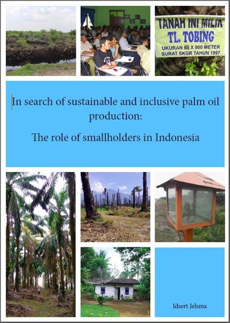In Search Of Sustainable And Inclusive Palm Oil Production The Role Of