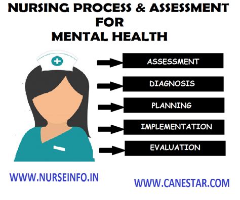 Nursing Process Nurse Info