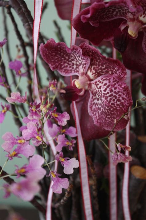 Orchid tag page contains color schemes, palettes and colour combinations with orchid colors. Repeating the colors of a Vanda orchid