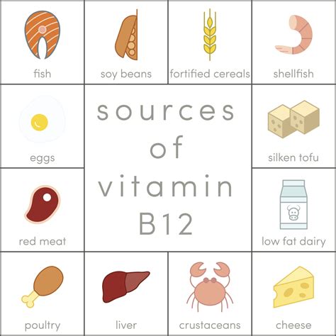 It is one of eight b vitamins. What you need to know about vitamin B12 - Blackmores