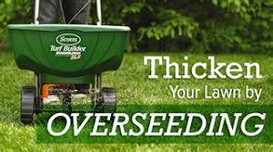 The basics of overseeding are the same everywhere, but goals and timing vary based on geography and the type of grass grown. lawn overseeding - best time to aerate and overseed - How Does Your Garden Mow
