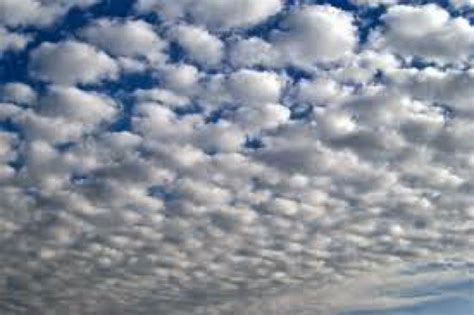 Learn about altocumulus clouds, including cloud description and facts, images, how to best identify them, and their species, varieties, and features. JULES VERNE SCHOOL: QUINTO-SIXTH GRADE: Altocumulus cloud