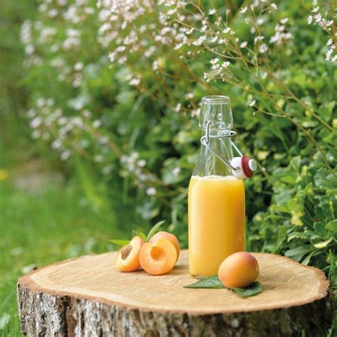 Стъклен съд 250 мл - Westmark | KitchenShop