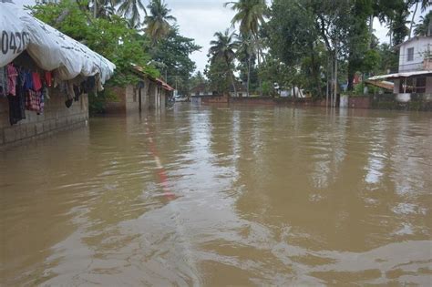 The houses down by the river flood quite regularly.2 river intransitive, transitivednwater if a river floods, it is. Kerala floods: Two residents file PIL, say water ...