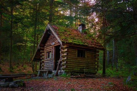 Снимки на къщи в гората Снимки com