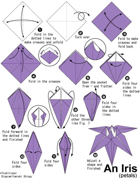 Iris Origami Instructions Origami Design Diy Origami Lotus Origami