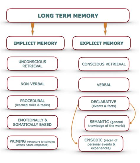 Implicit Vs Explicit Memory In Psychology