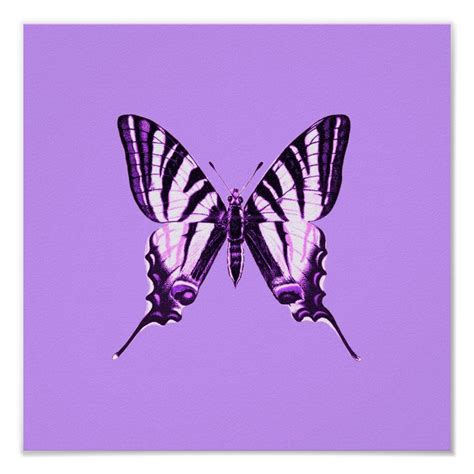 Purple Butterfly Poster In 2021 Butterfly Poster Purple