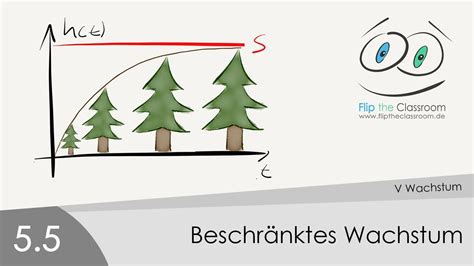 Detailed translations for wachstum from german to english. 5.5 Beschränktes Wachstum - YouTube