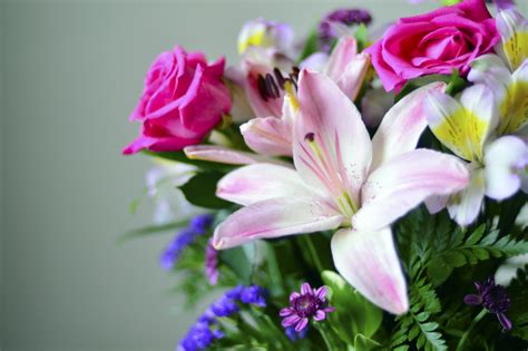 Maybe you would like to learn more about one of these? Flower Doctor / The Boydita Flowers Delivered Blog ...