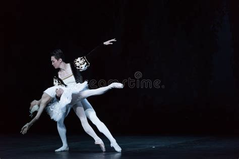 Dying Swan Ballet Swan Lake Editorial Stock Image Image Of Beginning Beauty 105233069