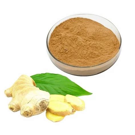 Ginger Extract Powder At Rs 1200kg Ginger Extract In Bengaluru Id